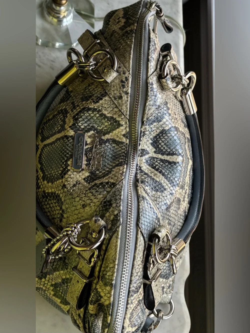Coach Python-Print Leather Shoulder Bag in Blue, Gray and Cream